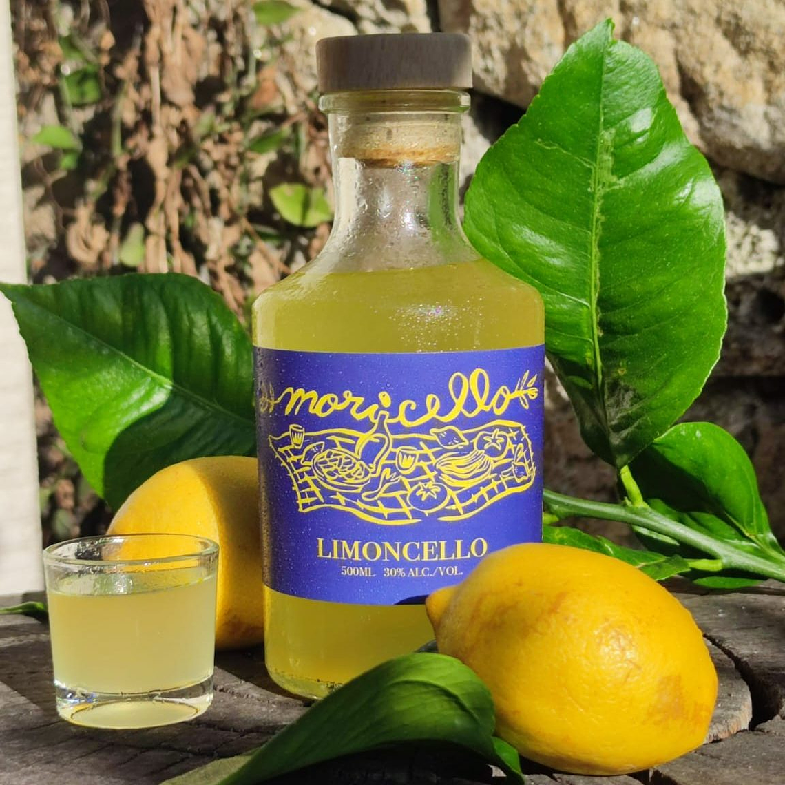 Limoncello Moricello 1