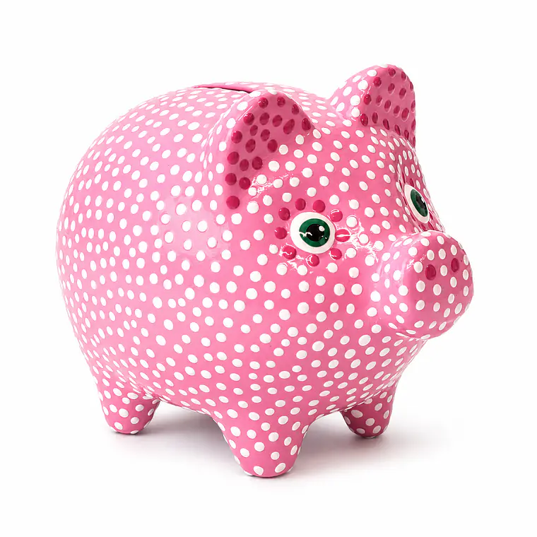 Handmade piggy bank 1