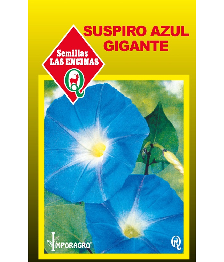 Suspiro azul gigante