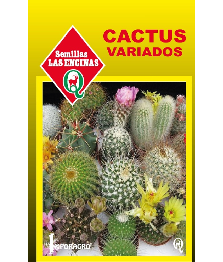 Cactus Variados