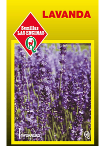 Lavanda