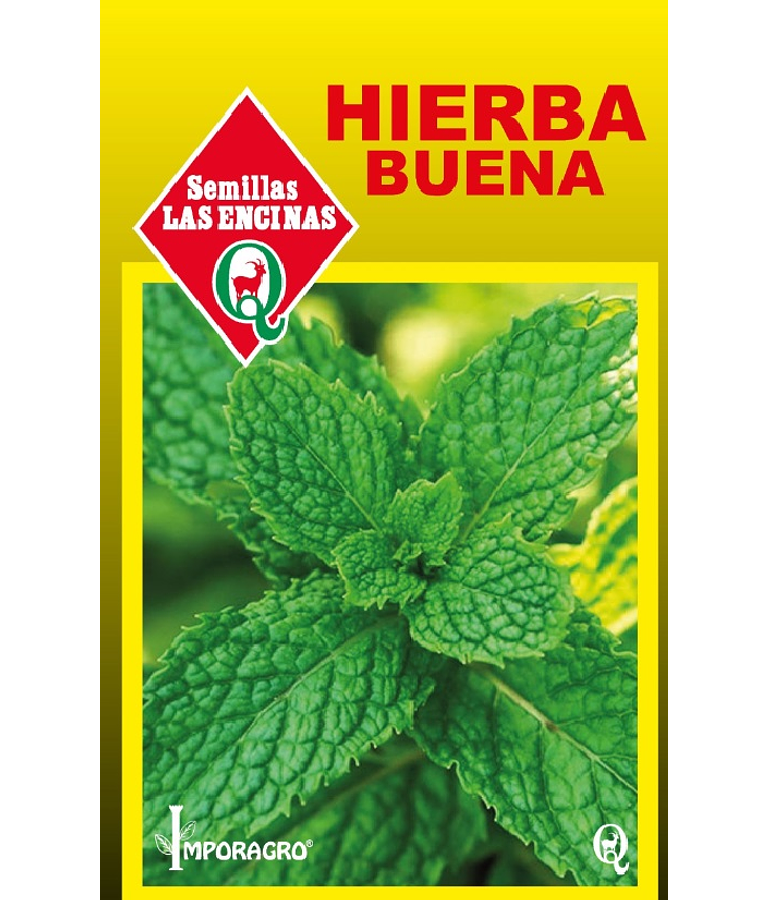 Hierba buena