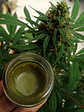 Cannabis Medicinal 50gr - Miniatura 3