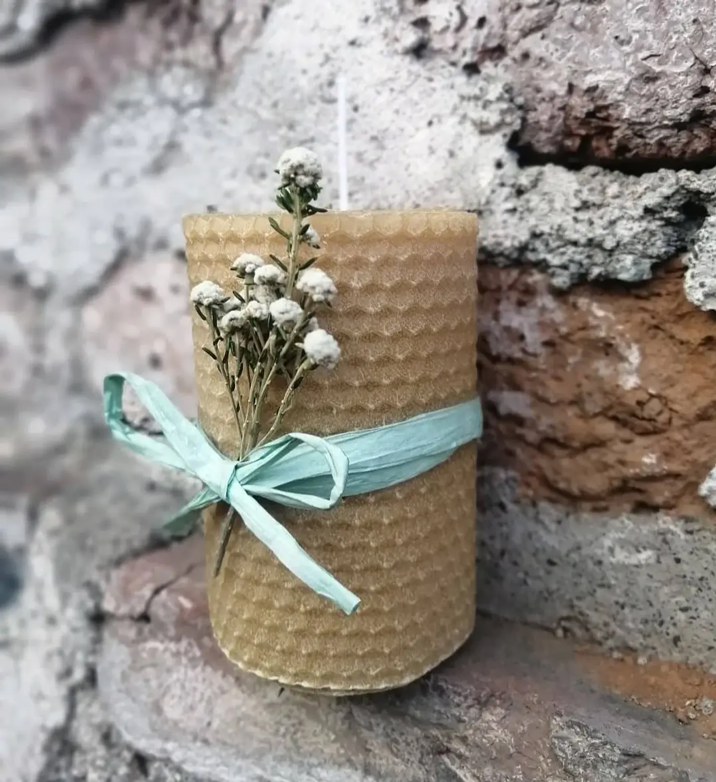 Master CLASS ¡diversidad de velas! {presencial} 3