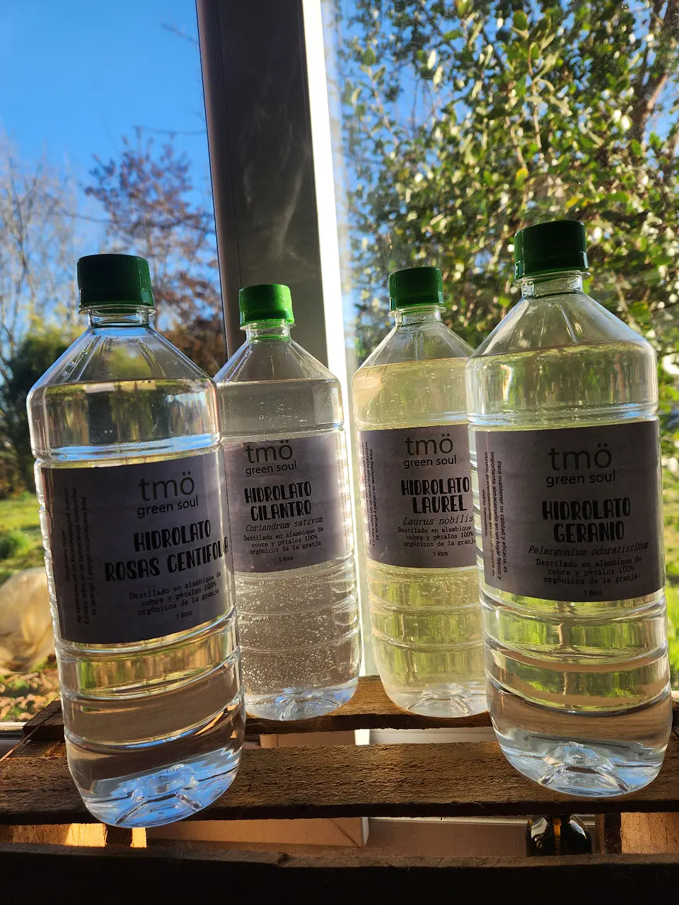 Kit de 4 hidrolatos {lavanda, romero, limón & eucalipto} 1