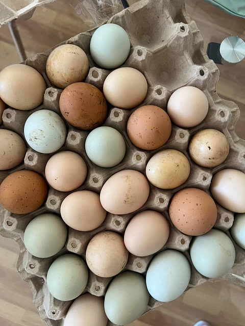 30 huevos camperos {frescos & libres}