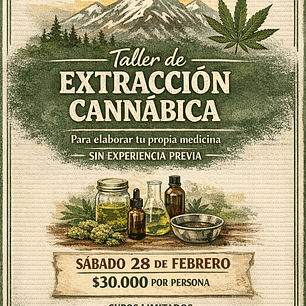 Taller de Extracción {crea tu propia medicina}