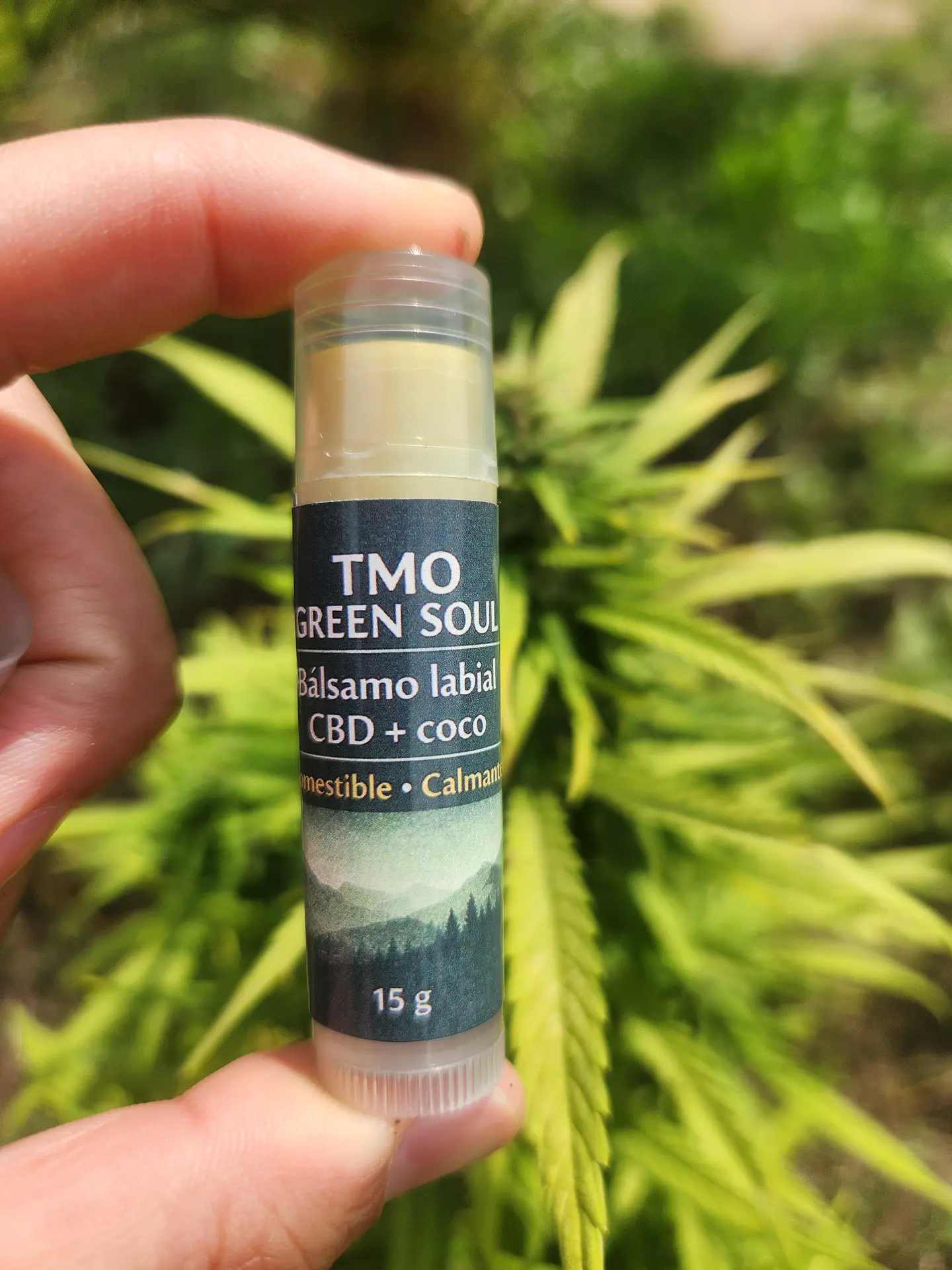 Balsamo labial CBD 15gr 1
