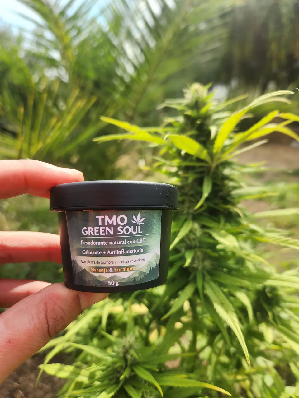 Desodorante CBD 50gr 1