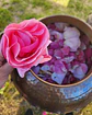 Tónico de Rosas  - Miniatura 2