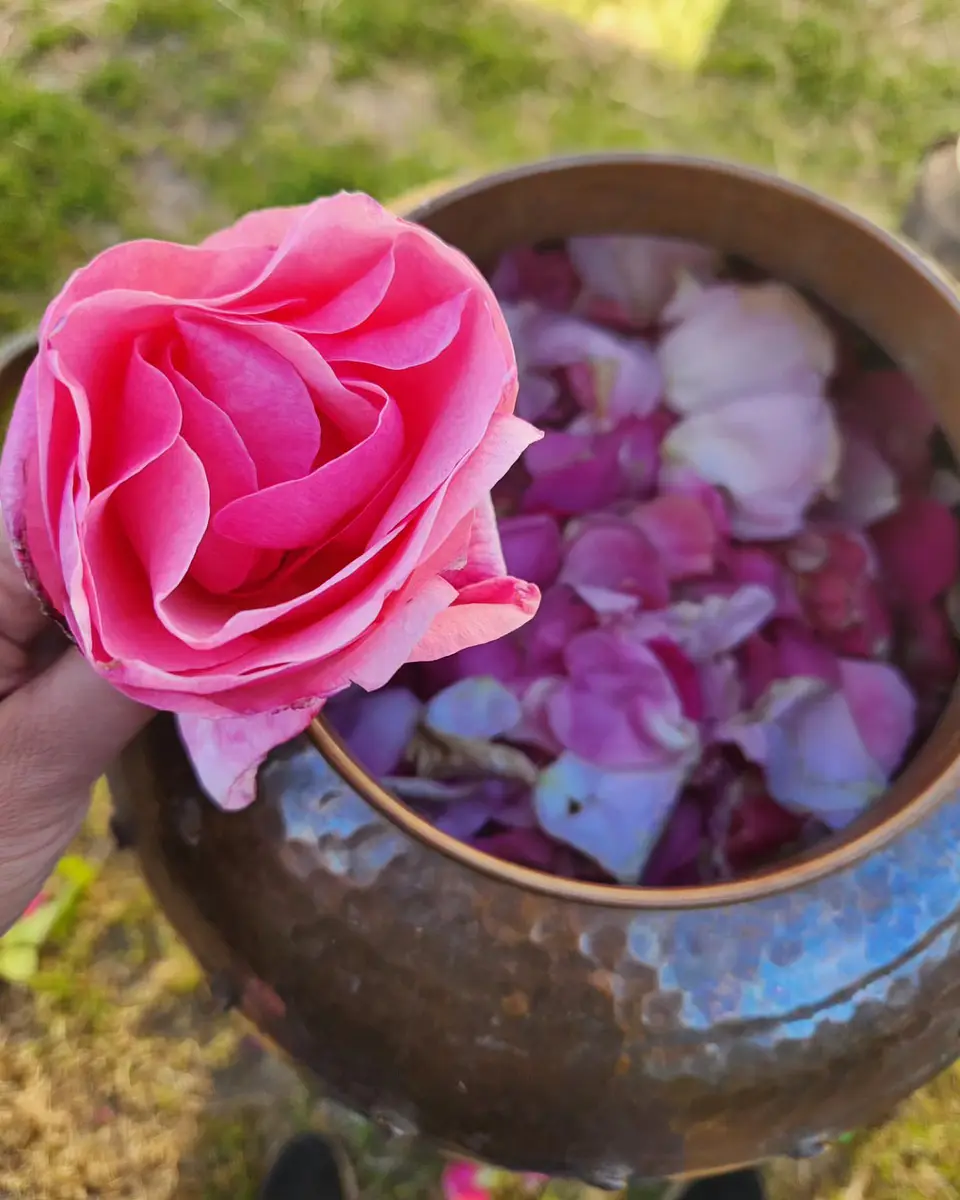 Tónico de Rosas  2