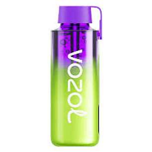 VOZOL NEON10000 RASPBERRY WATERMELON