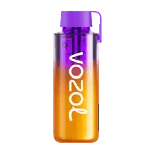 VOZOL NEON10000 MIXED BERRIES