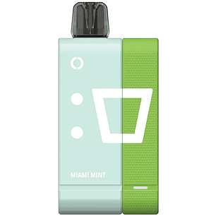 ELFBAR EW9000 KIT MIAMI MINT