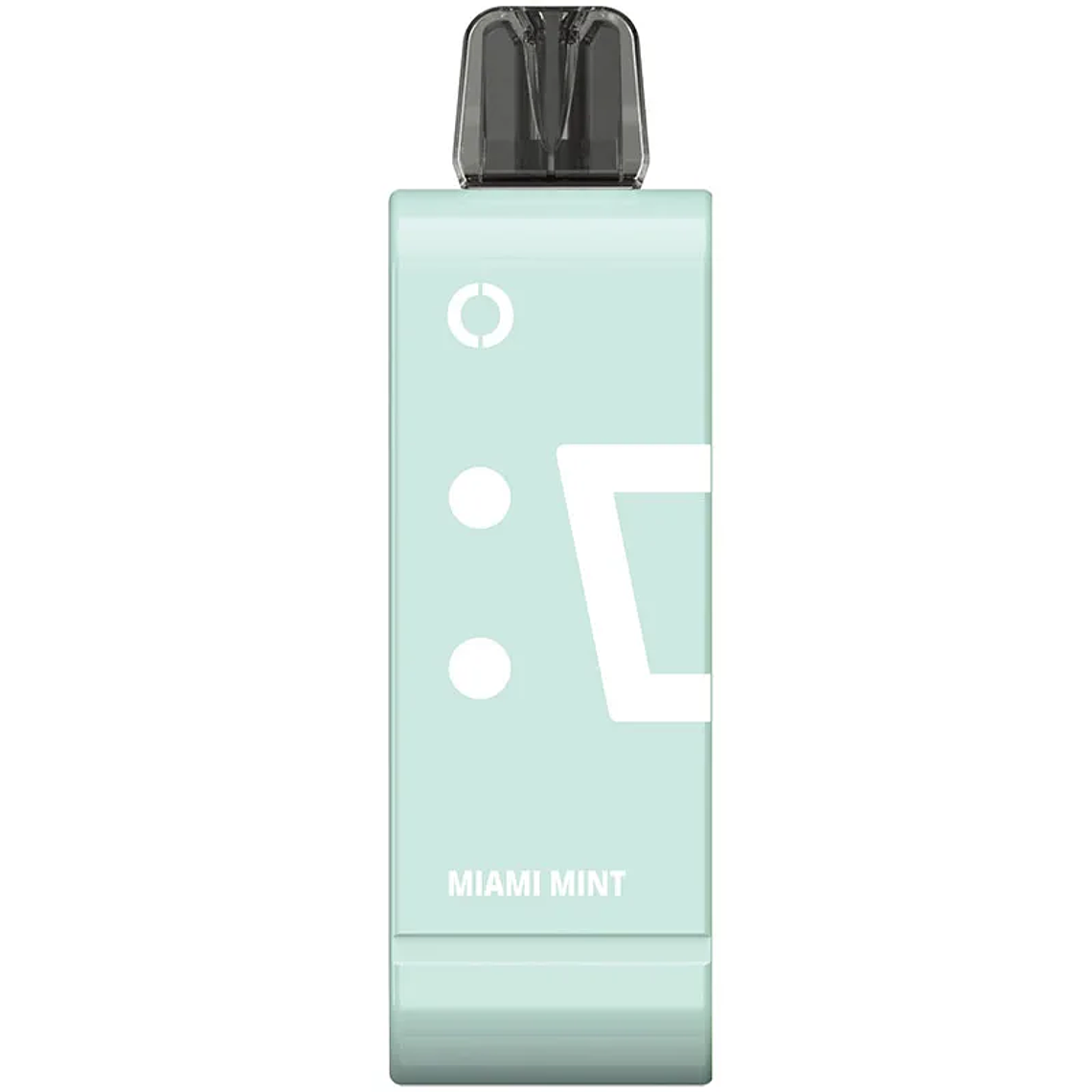 ELFBAR MIAMI MINT POD EW9000 PF 1