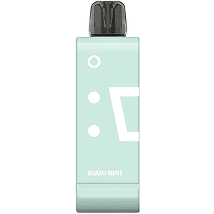 ELFBAR MIAMI MINT POD EW9000 PF