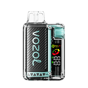 VOZOL VISTA 20000 MIAMI MINT