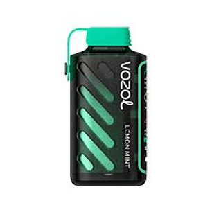 VOZOL GEAR POWER 20000 LEMON MINT