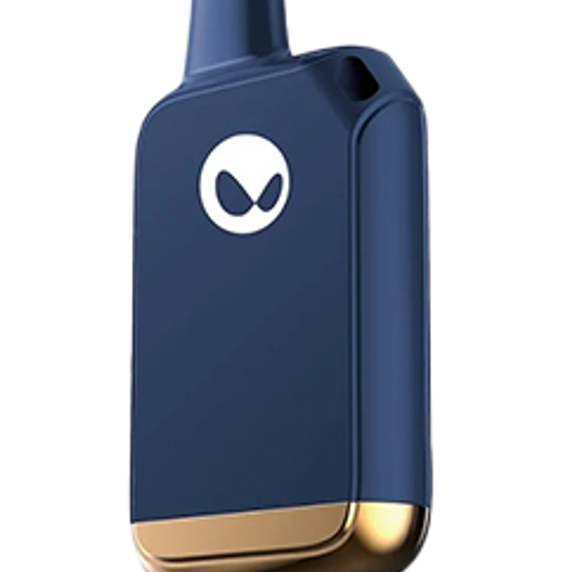 WAKA POCKET 4000 BLUEBERRY MINT 35MG/ML 1