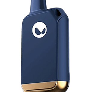 WAKA POCKET 4000 BLUEBERRY MINT 35MG/ML