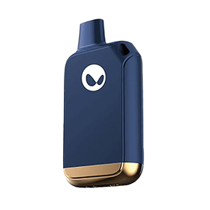 WAKA POCKET 4000 BLUEBERRY MINT 35MG/ML