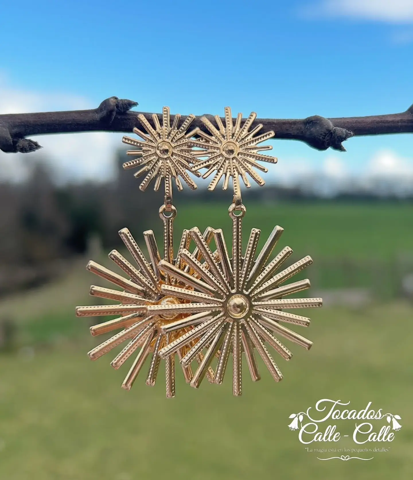 Aros Espuelas Doradas 1