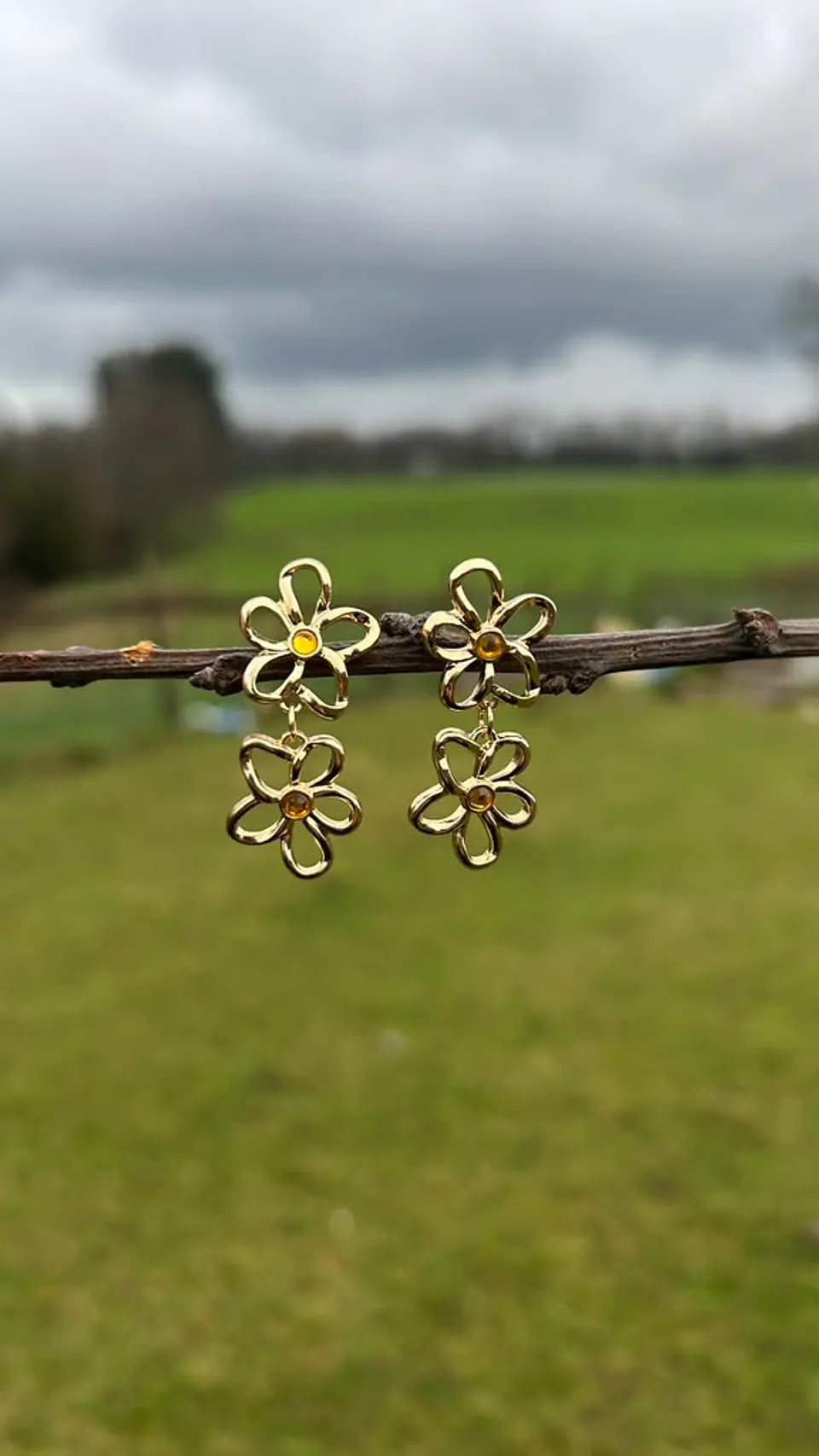 Aros Doble Flor Dorados 1