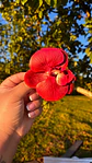 Tocado Modelo Orquidea - Miniatura 4