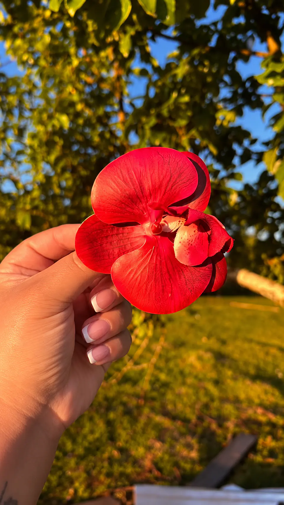Tocado Modelo Orquidea 4
