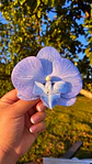 Tocado Modelo Orquidea - Miniatura 1