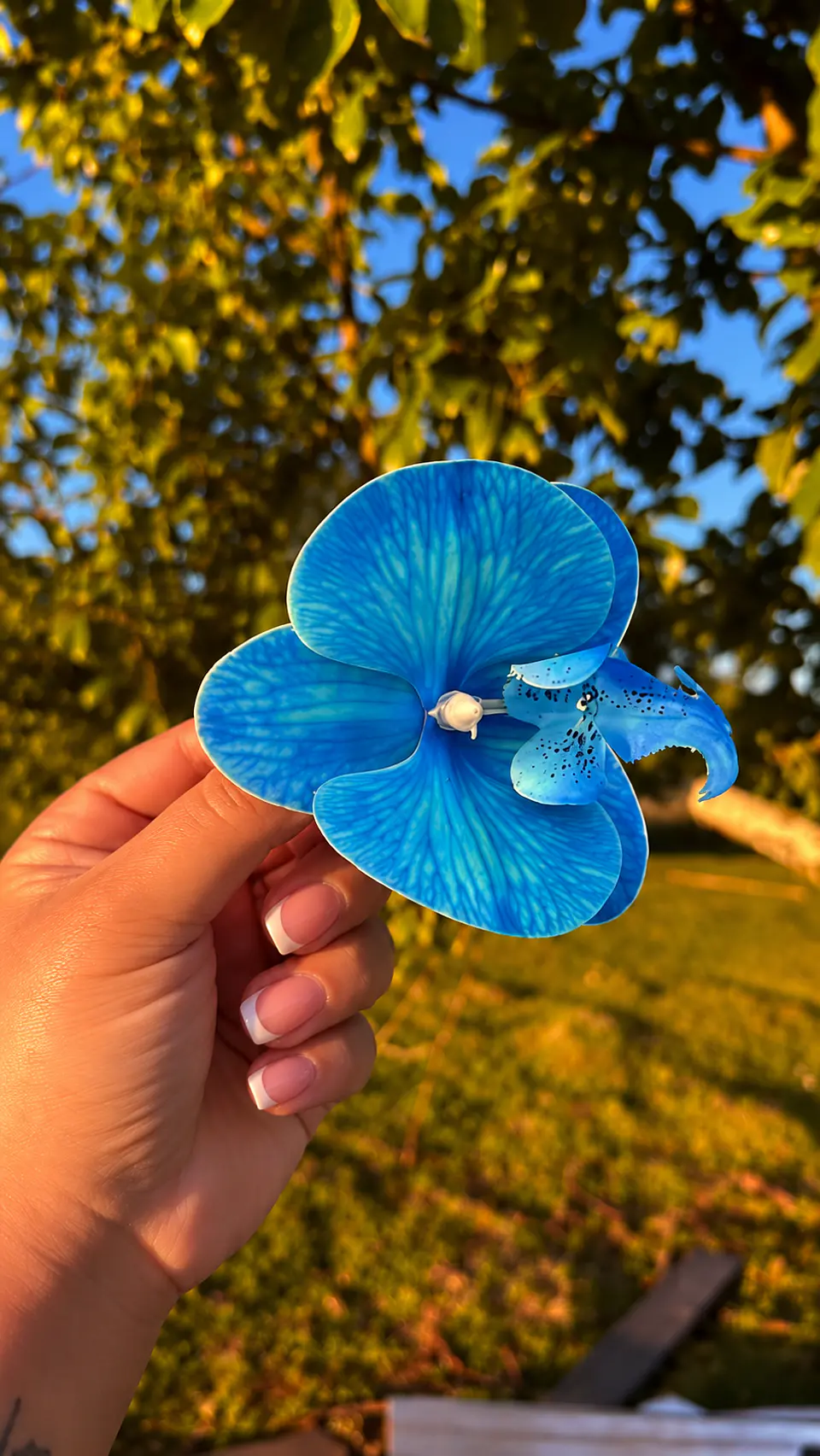 Tocado Modelo Orquidea 5