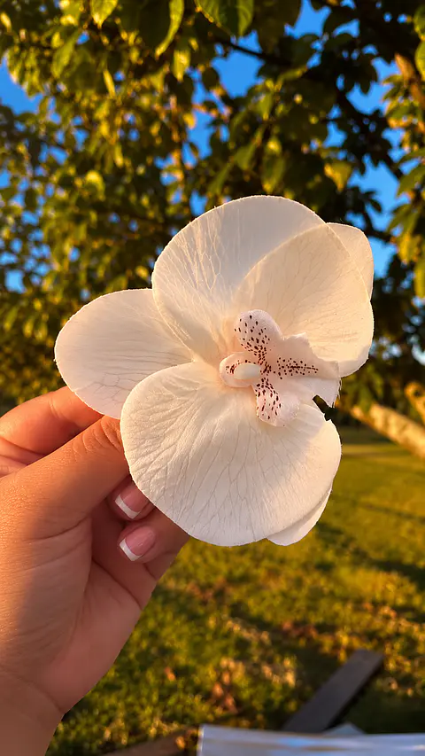 Tocado Modelo Orquidea II