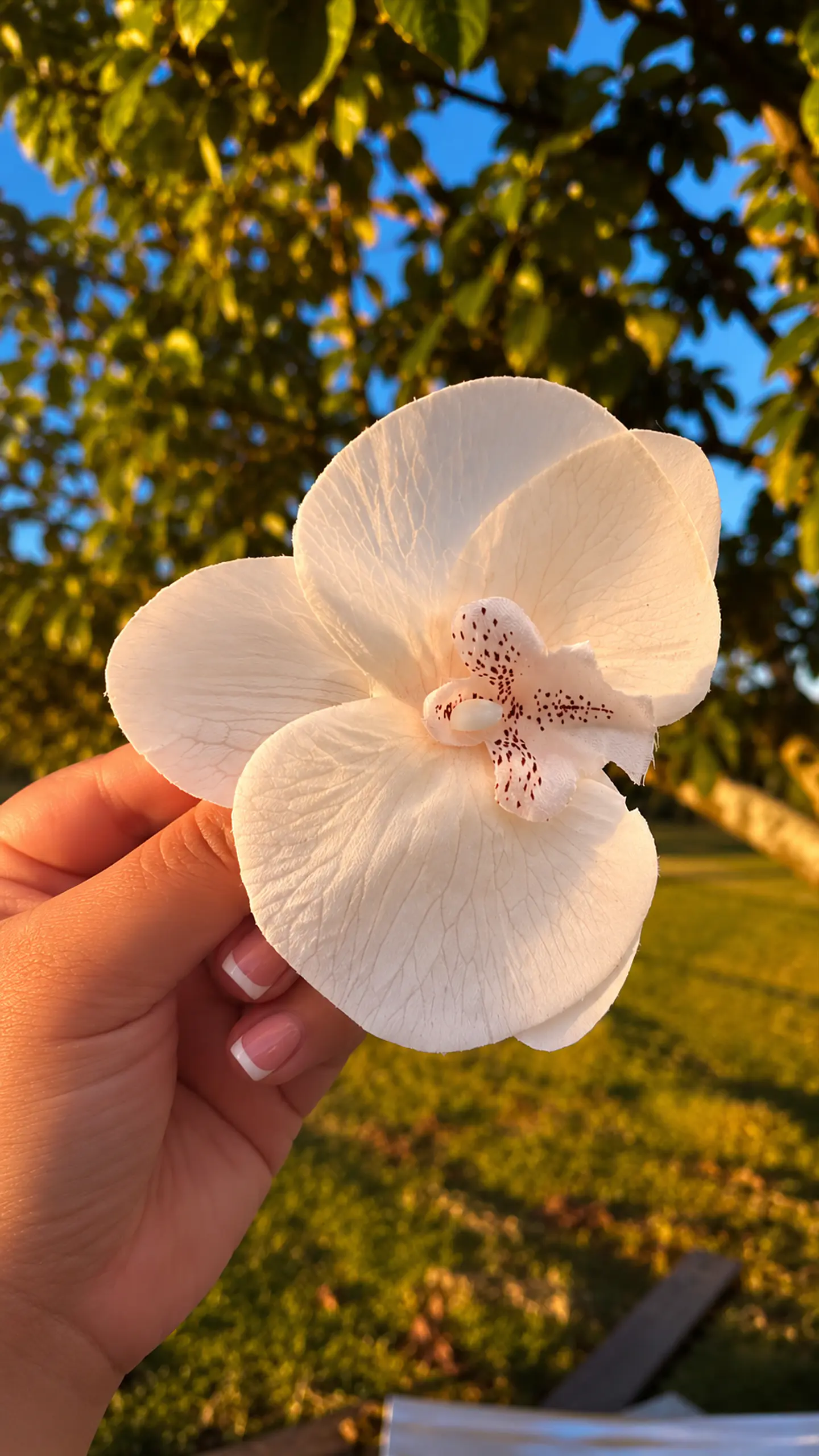 Tocado Modelo Orquidea II 1