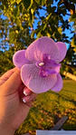 Tocado Modelo Orquidea II - Miniatura 3