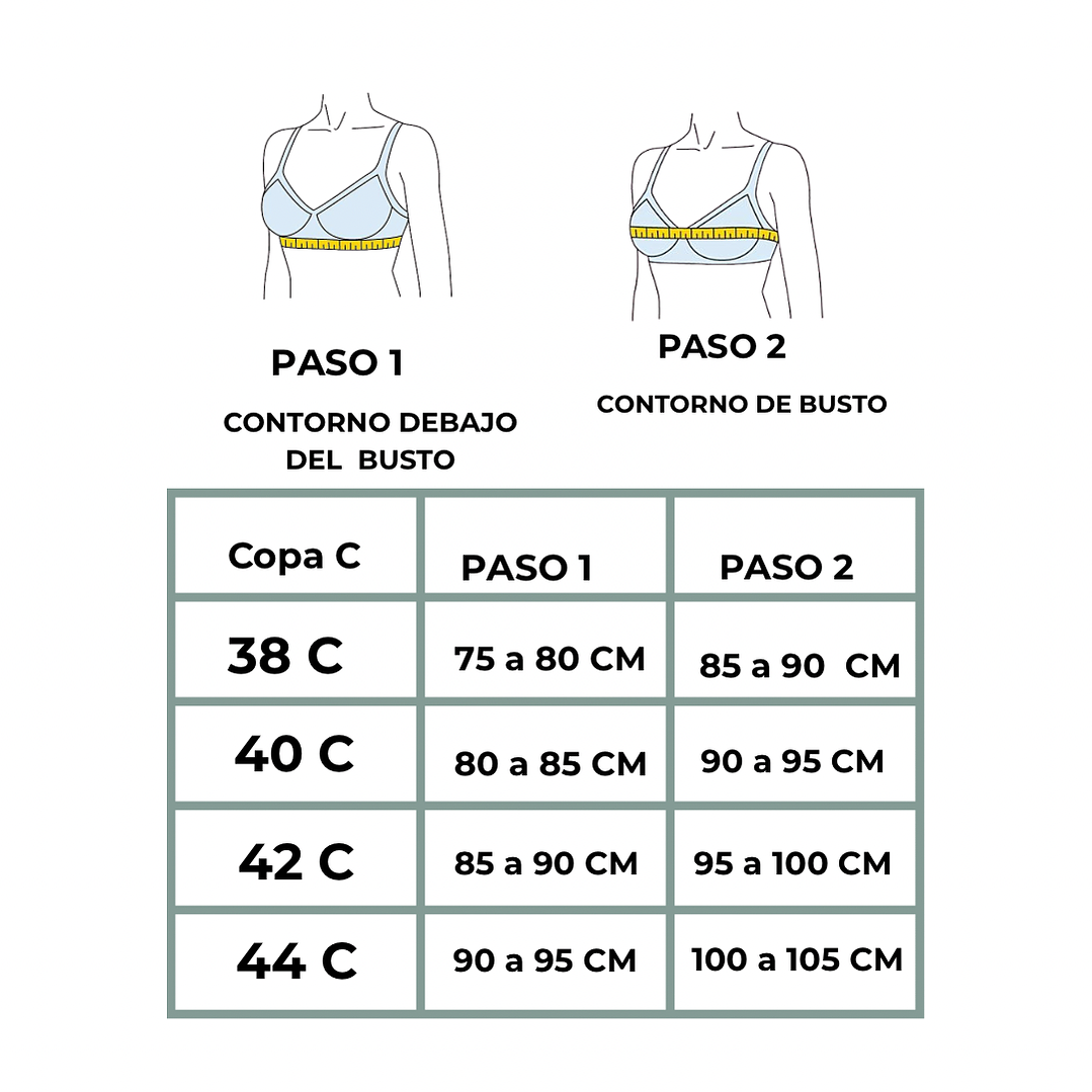 2 SOSTENES LISO COPA C #157 3