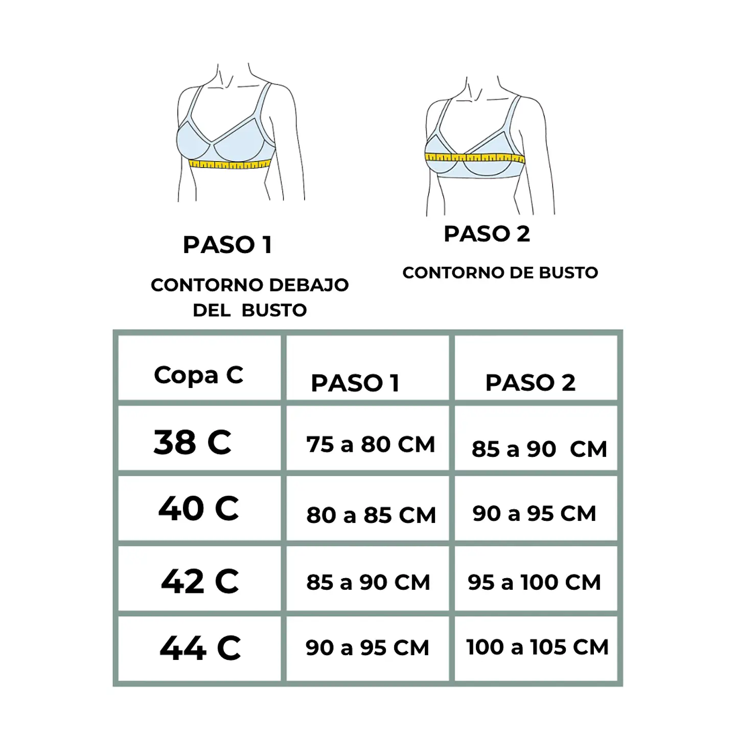 2 SOSTENES LISO COPA C #157 3