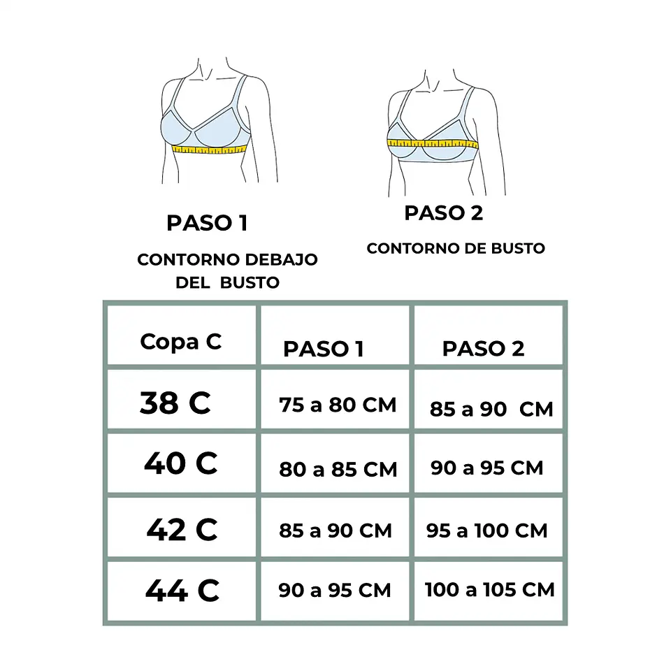 2 SOSTENES LISO COPA C #157 3