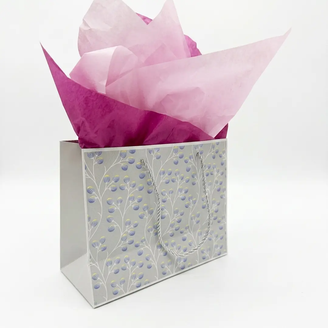 1 BOLSA DE REGALO + PAPEL DE SEDA  22 X 30 X 40 3