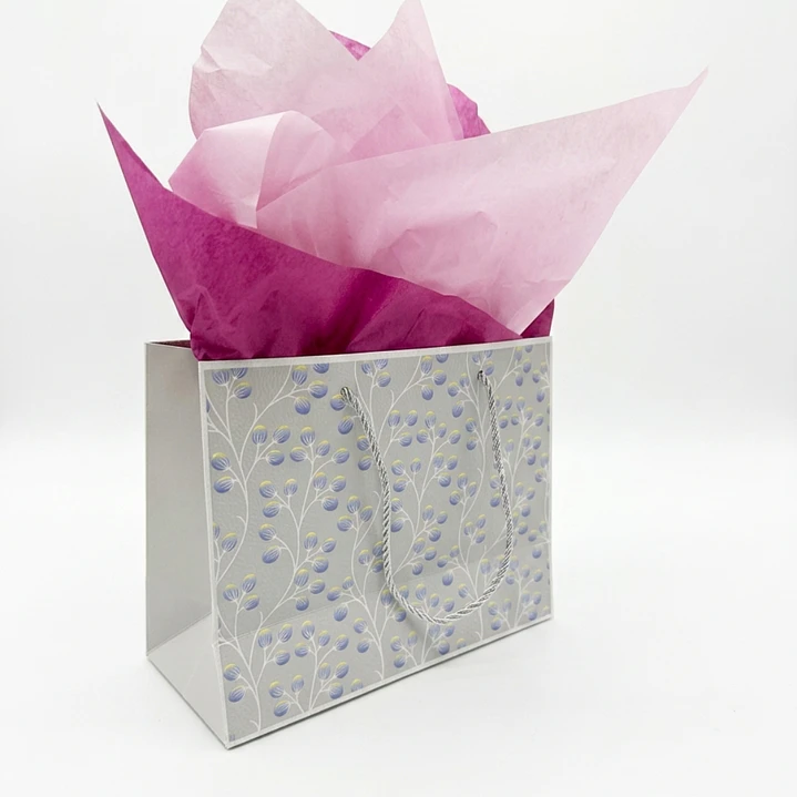 1 BOLSA DE REGALO + PAPEL DE SEDA  22 X 30 X 40 3