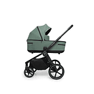 DUO FIVE PINE GREEN - MUUVO