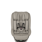 PACK COMPLETO GOYA PLATINUM CHAMPANHE - KIKKABOO