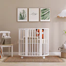 CAMA BERÇO PAL - TRAMA