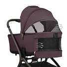 PACK GOYA PLATINUM MERLOT - KIKKABOO