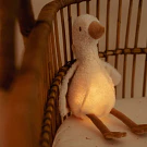 GANSO DE PELUCHE COM LUZ E SOM - LITTLE DUTCH
