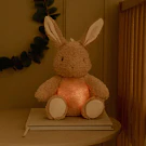 COELHO DE PELUCHE COM LUZ E SOM - LITTLE DUTCH
