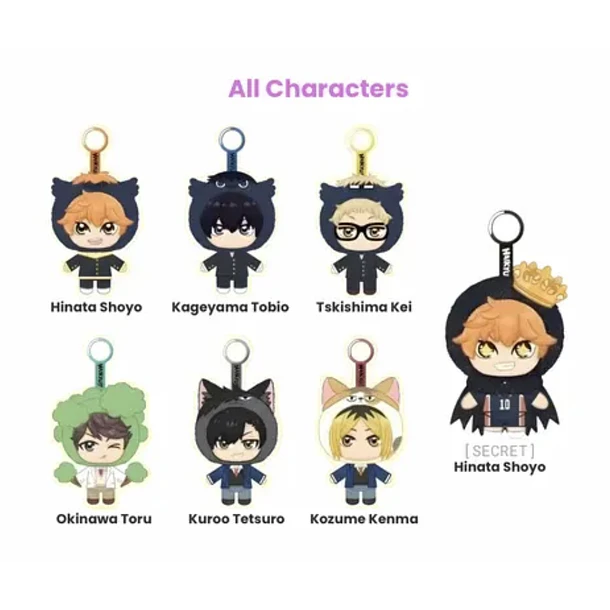 BLIND BOX HAIKYUU 