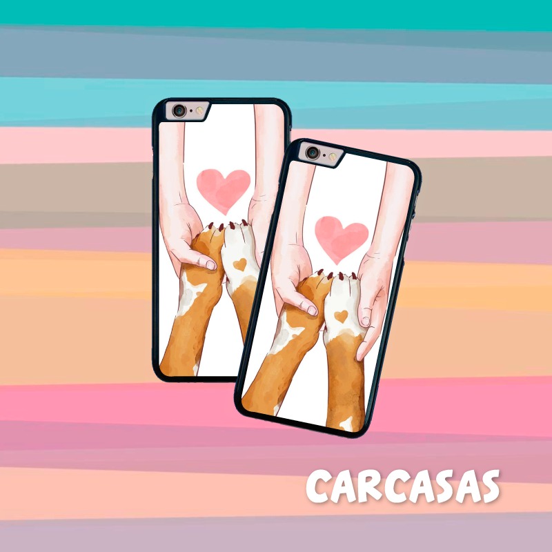 CARCASA #221