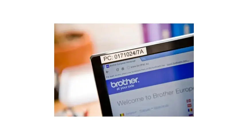 Pack 2 x Brother TZe-231 | Cinta Etiqueta Blanca - Texto Negro 2