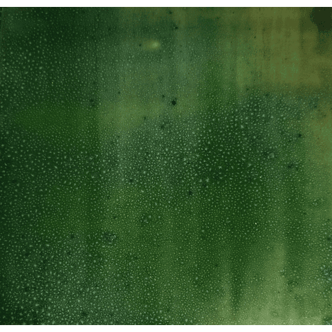 Azulejo esmeralda y verde pasto efecto 024