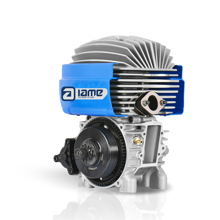 Motor IAME MINI PRO-M 1